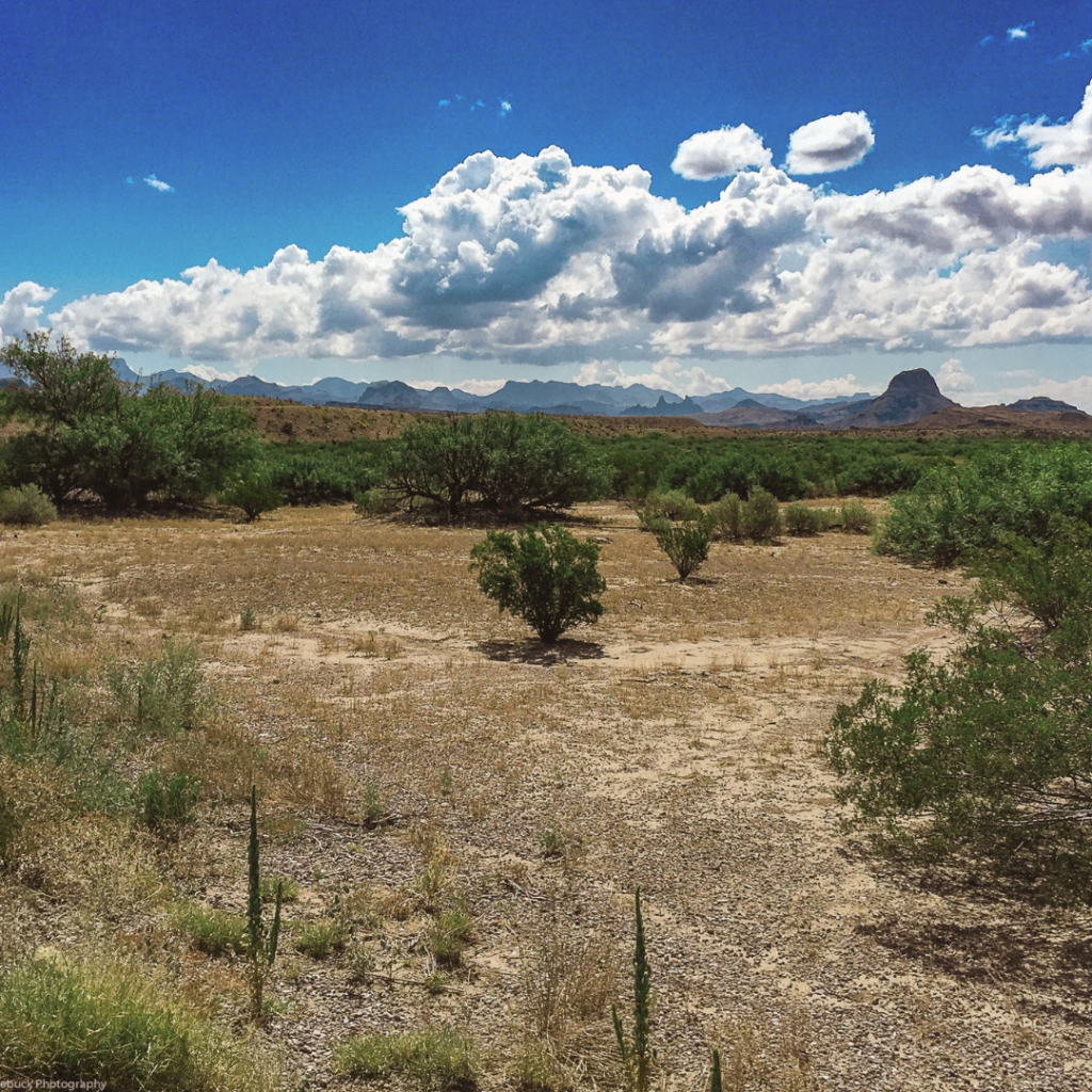 Devon alexis travel blog top 3 underrated us national parks you should visit camping trips travel deals vacation deals summer vacation travel tips travel ideas