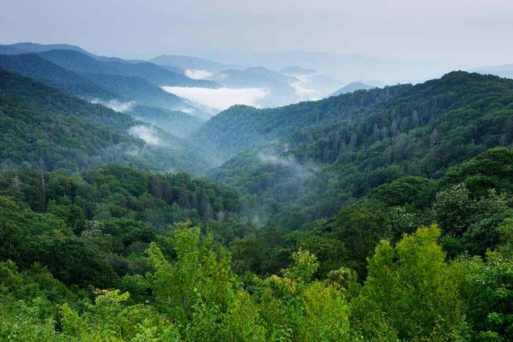 great smoky mountains